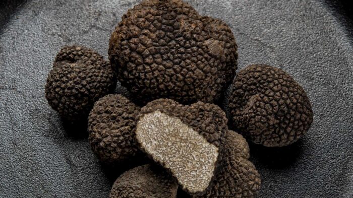 La-truffe1