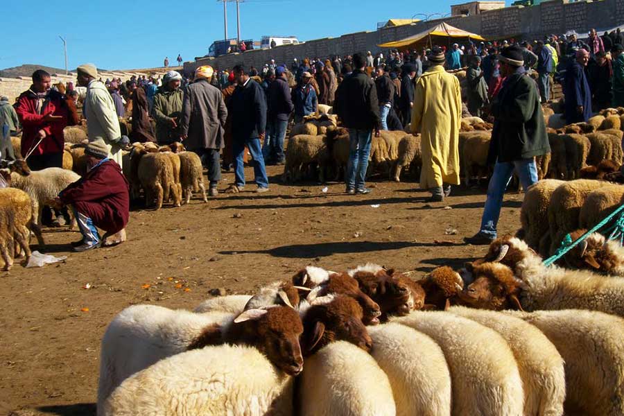 carrefour-hebdomadaire-traditionnel